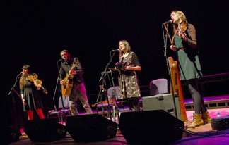 The Furrow Collective